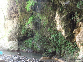 ldaia del Drago19-07-2015 10-15-38